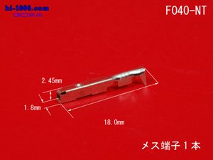 F040-NT-300
